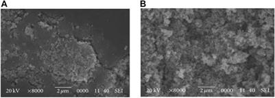 Prospects of TiO2-based photocatalytic degradation of microplastic leachates related disposable facemask, a major COVID-19 waste